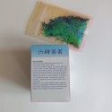 六时茶茗 Six O'clock's Teatime Green Tea Organic Green Tea, Caffeinated, Low Caffeine, Fresh and Healthy Green Tea, 1 Pound
