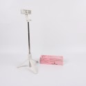HZNYSY Stick Travel Tripod for Cell Phone Holder, Extendable Selfie Stick Tripod for Video Recording